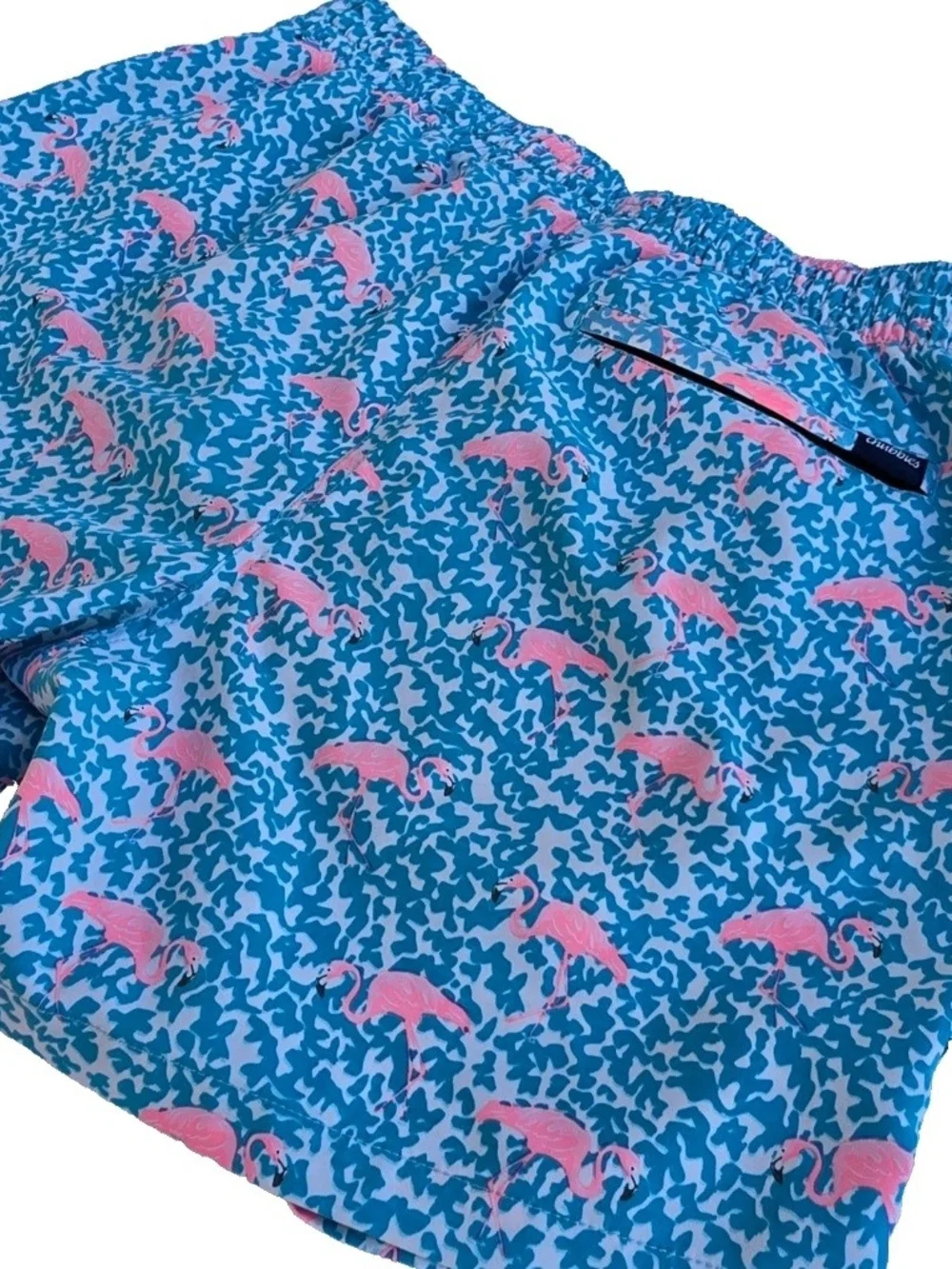 Chubbies Mens Classic 5.5